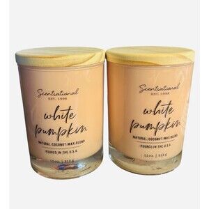 2 Scentsational WHITE PUMPKIN Coconut Wax Blend Candles